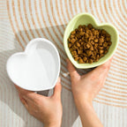 5 in Ceramic Raised Tilted Cat Food Bowls 2 Pack(White&Green) | Elevated,Love Heart Shape, Slanted Pet Feeding Dishes, Stress Free Feeder Bowl for Kitty, Small Cats, Protect Pet's Spine