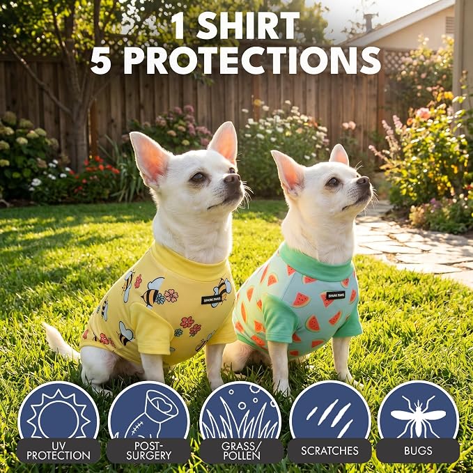 Spark Paws Sunblock Dog T-Shirt, SPF30 Protection, Lightweight Breathable Quick Dry for Dogs with Sensitive Skin - Bees & Watermelon (Set of 2) - Size 3XL