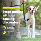 PetSafe Gentle Leader No Pull Dog Headcollar, Black, Medium | Veterinary Behaviorist-Designed No-Pull Headcollar Redirects Pulling Instinct, Padded Neoprene Nose Loop, Quick-Snap Fit