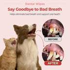 JAYU PET Mint Scent Dental Finger Wipes for Dogs, 50 Count | No-Rinse, Dual-Finger, Oral Care, Teeth Cleaning