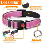 LOBEVE No Pull Dog Harness, Collar & Leash Set | Includes Dog Seat Belt, Collapsible Bowls & Poop Bag Dispenser. Ideal for Training, Walking, Hiking. Fits Small to Large Dogs(Pink-S)