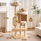 50" Modern Cat Tree for Indoor Cats Small to Medium, Solid Wood Cat Tower with Sisal Scratching Posts, Cat Scratcher Cardboard, Cozy Cat Beds & Hidden Cat Condo, Multi-Level Cat Furniture