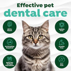 TropiClean No Brush Cat Toothpaste, Easy to Use Cat Dental Care, 2oz