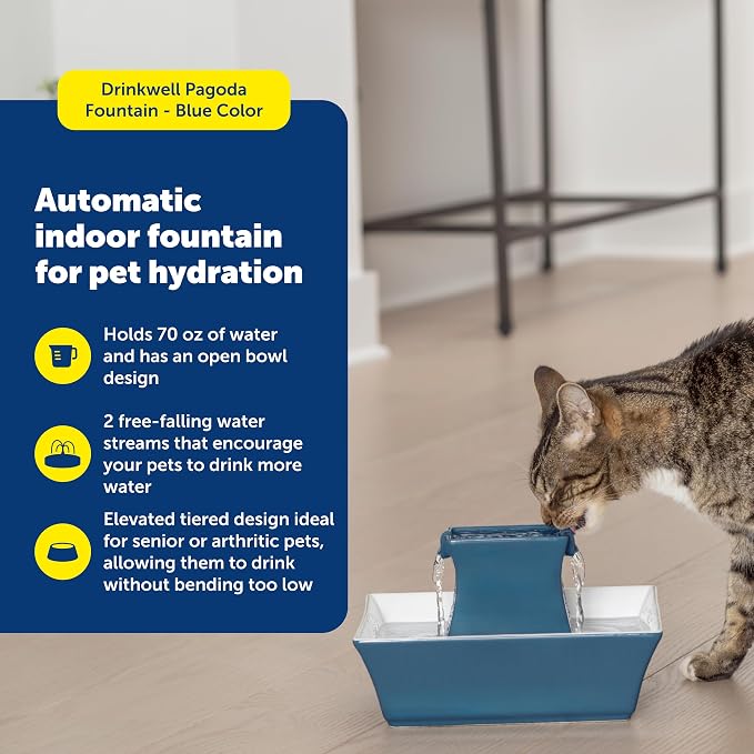 PetSafe Cat and Dog Water Fountain - Automatic Water Dispenser - Drinkwell Pagoda Ceramic Fountain for Pets - Filter Included - Blue - 70 oz, Model:PWW00-14898 | 2 Falling Water Streams Encourage Hydration, Cat & Small Dog Water Fountain, Carbon Filter...
