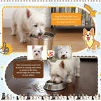 Vesici Slow Feeder Dog Bowls Set 3.2l No Spill Water Bowl and 2 Cups 304 Stainless Steel Dog Slow Feeder Food Bowl Puppy or Cat Food Holder Dishwasher Pet Supplies