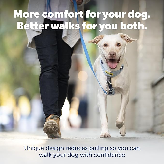 PetSafe Easy Walk Comfort No Pull Dog Harness, Blue, Small | Stops Pulling on First Use with Front Martingale Loop, Full-Body Padding, 5-Point Adjustable Fit