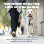 PetSafe Easy Walk Comfort No Pull Dog Harness, Blue, Small | Stops Pulling on First Use with Front Martingale Loop, Full-Body Padding, 5-Point Adjustable Fit