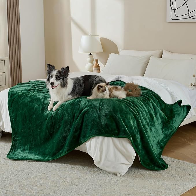 Soft Waterproof Blanket for Bed Couch Sofa, Green, 50x60 inches | Liquid Pee Proof Pet Blanket for Dog Puppy Cat, Reversible Sherpa Fleece Blanket for Couch Cover, Furniture Protector