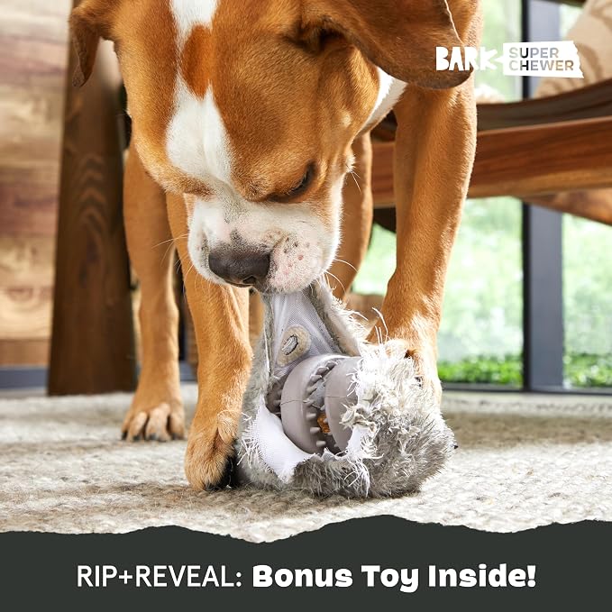 BarkBox Hare Raiser Super Chewer - 2-in-1 - Toy for Medium to Large Dogs | Durable Dog Toy for Aggressive Chewers - Plush