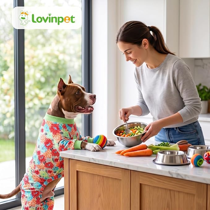 LovinPet Dog PJS Bodysuit for Large Dogs, Pet Pajamas for Dogs, Anti Licking & Anxiety Calming Dog Shirt, Lightweight Stretchy Fabric, Watermelon & Flowers Print, Pitbull Clothes, 2XL