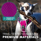 Embark Adventure Large Dog Harness – No-Pull, Reflective Trim, Military-Grade Nylon, Front Clip with Gel-Lined Handle