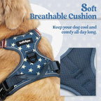 rabbitgoo Dog Harness, No Pull for Large Dogs with 2 Leash Clips, Pet Vest | No Choke with Handle, Adjustable Soft Padded, Reflective, Easy Control for Walking, Blue Star, X-Large