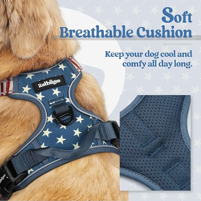 rabbitgoo Dog Harness, No Pull for Small Dogs with 2 Leash Clips, Pet Vest | No Choke with Handle, Adjustable Soft Padded, Reflective, Easy Control for Walking, Blue Star, Small