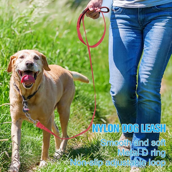 Vicenpal 12 Pcs Double Sided Reflective Dog Leash with Soft Padded Handle, Bulk Nylon Animal Leashes for Medium and Large Dogs Heavy Duty Animal Leash for Walking, Training, 6 Colors(5 ft,Cute Colors)