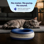 Maxi Filtered Dog Water Bowl, 2L/68oz - No Power or Batteries Needed, Auto-Refill, No Spill, Portable Travel Lock, Carbon Filter, BPA-Free, Dogs & Cats