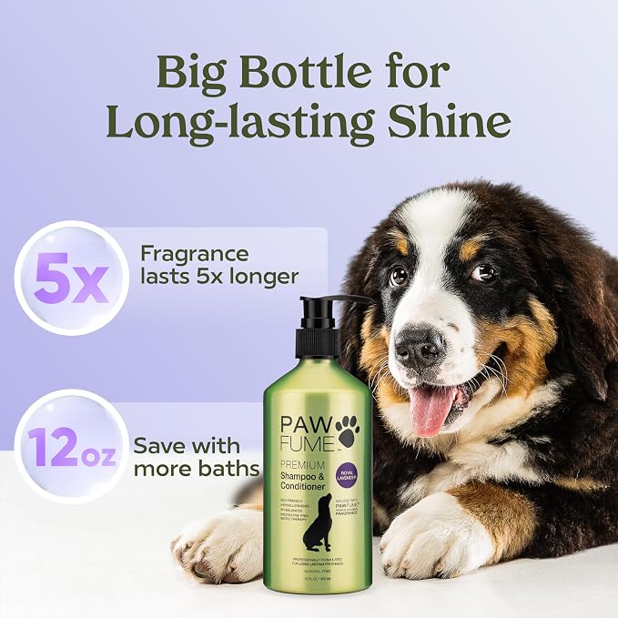 PAWFUME Dog Shedding Shampoo and Conditioner, Royal Lavender, 4-Pack – Nourish & Detangle for Silky Soft Coat – Probiotic, Deep-Cleaning, pH-Balanced – Salon-Quality Shedding Shampoo for Dogs