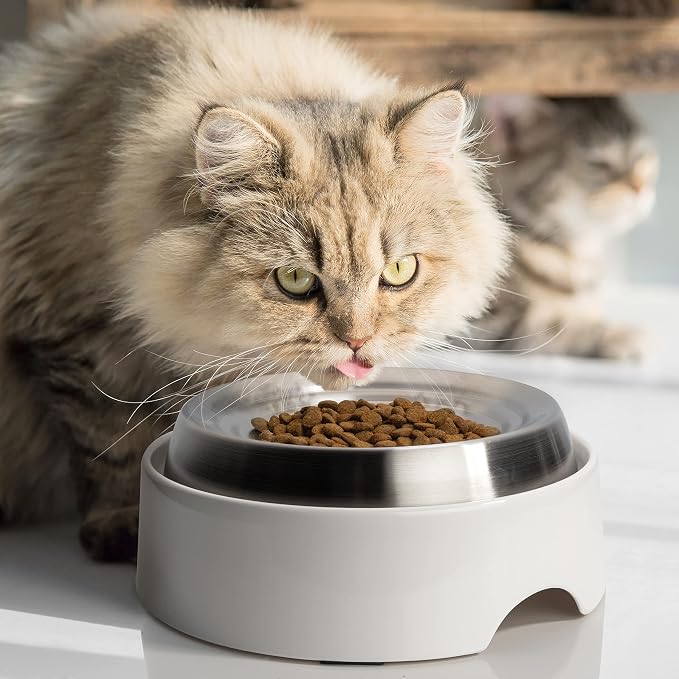 CatGuru Cat Bowls, Whisker Friendly Food Bowl for Indoor Cats, Reliefs Whisker Fatigue, Wide Kitten Dish, Non Slip Pet Dishes, Shallow Pet Plates (Stainless Steel, (Pack of 2))