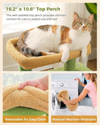Small Cat Tree for Kittens, 32 in Cat Tower with 2 Cozy Condos | Multi-Level Cat Tree with Scratching Posts, Soft Padded Perch, 2 Dangling Toys