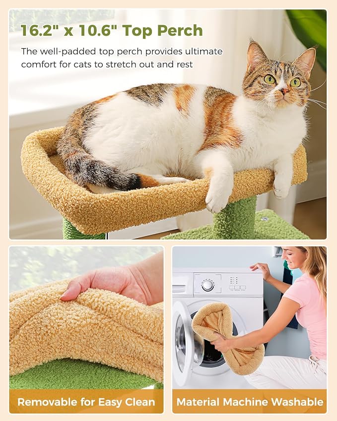 Small Cat Tree for Kittens, 32 in Cat Tower with 2 Cozy Condos | Multi-Level Cat Tree with Scratching Posts, Soft Padded Perch, 2 Dangling Toys