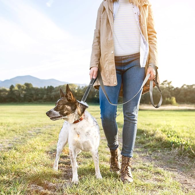 Twoear 6FT 1IN Heavy Duty Dog Leash for Large Dogs with 2 Padded Handles | Traffic Handle Extra Control, Auto Lock Hook, Strong Reflective Walking Leash for Night Safety, Medium and Large Breeds,Grey