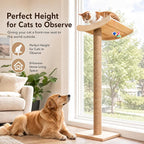 Cat Window Perch with Scratching Posts, 46-Inch Wooden Tree for Large Cats | For Big Cats & Maine Coons; Heavy-Duty Suction Cups Mounting; Spacious Wood Bed ; Drill-Free; Holds Up to 40 lbs
