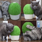 miwoowim Cat Face Scratcher Wall Corner Massage Comb, Self Grooming Brush | Catnip Feeder Toy with Catnip. Multi-purpose scratcher. Easy to install with adhesive tape. Removes loose fur