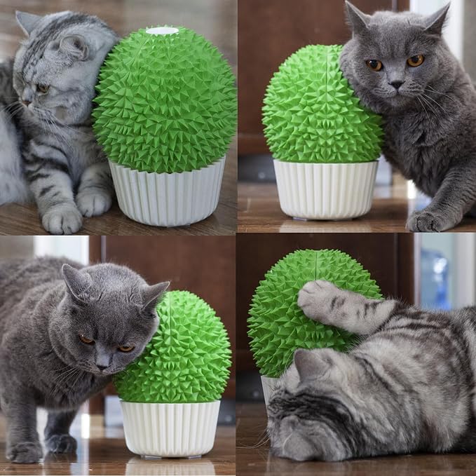 miwoowim Cat Face Scratcher Wall Corner Massage Comb, Self Grooming Brush | Catnip Feeder Toy with Catnip. Multi-purpose scratcher. Easy to install with adhesive tape. Removes loose fur