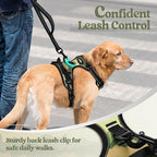 rabbitgoo Dog Harness, No Pull for Small Dogs with 2 Leash Clips, Pet Vest | No Choke with Handle, Adjustable Soft Padded, Reflective, Easy Control for Walking, Green Mountain, Small