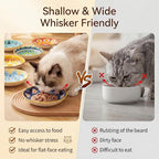 Ceramic Cat Food Bowls 6 Pack – Shallow Cat Bowl with Non-Slip Silicone Base, Whisker-Fatigue Dishes for Indoor Cats Puppy – Microwave Dishwasher Safe – 5.3 oz Cute Pet Plates for Wet Dry Food Water