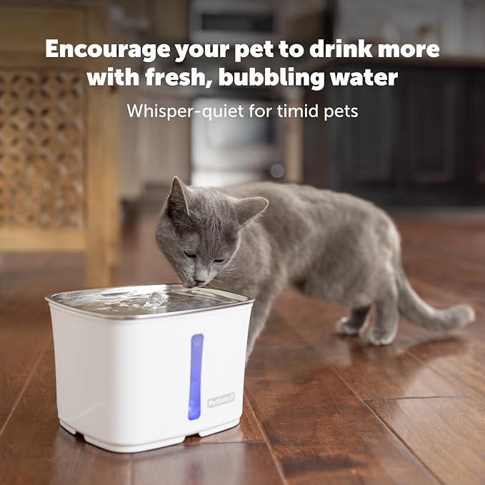 PetSafe Viva Pet Water Fountain, 64 oz, for Cats and Small Dogs | 64 Oz Capacity, Rust-Resistant Stainless-Steel Bowl, Whisper-Quiet Pump, Dishwasher Safe, Filters Included