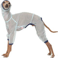 D Doggy Star Italian Greyhound Clothes Sheer Mesh Onesie Summer Jumpsuit Breathable Full Body Protection for Outdoor Walks Small Whippet Fit (M,Sheer Mesh Blue)