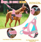 SlowTon No Pull Dog Harness - Heavy Duty Dog Harness and Leash Set for Medium Large Dogs, Reflective Tactical Harness with Soft Padded and Front Clip for Easy Walk and Training (Pink, L)