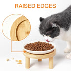 Shallow Elevated Cat Bowls, 2, White (Fish Bone), Bamboo Stand | 5.9 Inch Wide, Ceramic Dishes, Whisker Friendly, Raised Pet Food, Adjustable