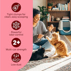 Fresh Step Advanced Extreme Clump Multi Cat Clumping Litter with Febreze Freshness, Mountain Spring Scent, Ammonia Block Technology, Low Dust, Low Tracking, 18.5 lb. Box, Pack of 2 | Forms Tight Clumps, Easy To Scoop, Scented, Ammonia Block Technology,...