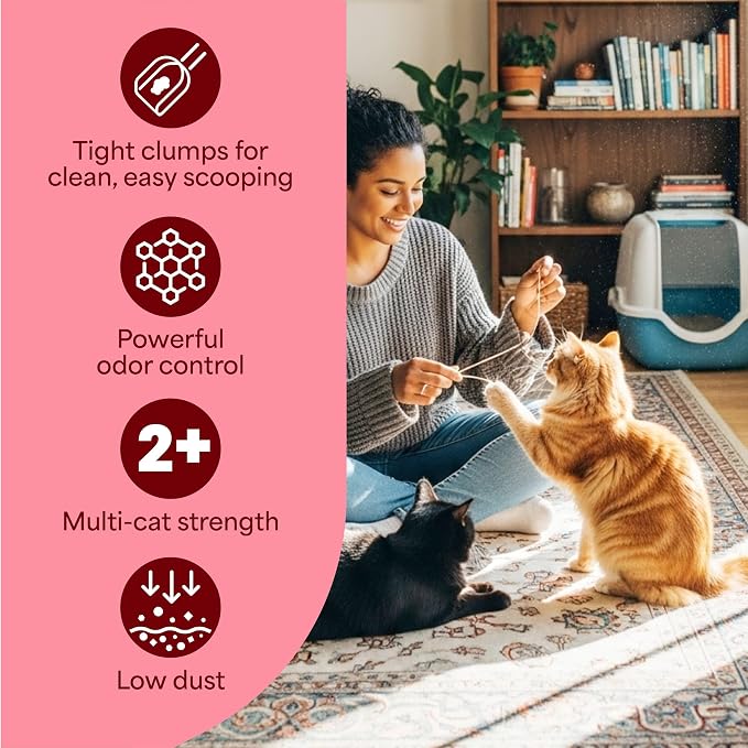 Fresh Step Advanced Extreme Clump Multi Cat Clumping Litter with Febreze Freshness, Mountain Spring Scent, Ammonia Block Technology, Low Dust, Low Tracking, 18.5 lb. Box, Pack of 2 | Forms Tight Clumps, Easy To Scoop, Scented, Ammonia Block Technology,...