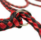 Downtown Pet Supply Braided Poly Slip Lead Dog Leash, 24 Pack, 5' Long - Universal Dog Slip Leash with Metal O Ring - Great for Groomers, Shelters, Rescues, Vets, or Doggy Daycares
