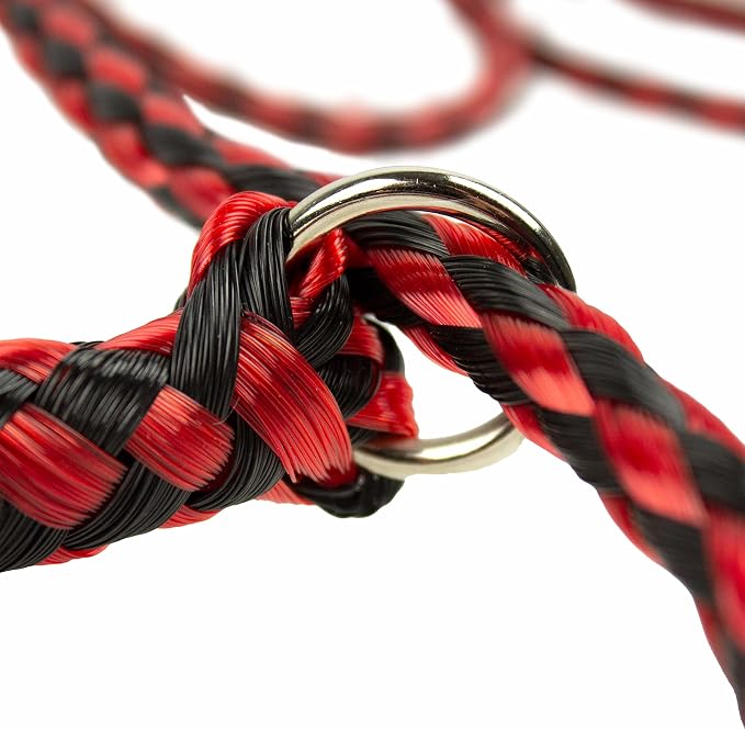 Downtown Pet Supply Braided Poly Slip Lead Dog Leash, 24 Pack, 5' Long - Universal Dog Slip Leash with Metal O Ring - Great for Groomers, Shelters, Rescues, Vets, or Doggy Daycares