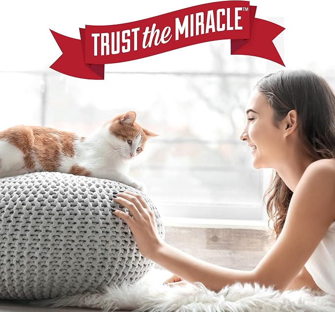 Nature's Miracle Oxy Set-In Stain Destroyer, Cat Odor Control, 24 oz | Oxy Formula Penetrates, Separates & Lifts Embeded Stains & Odors With A Fresh Orange Scent, Safe For Pets & Home