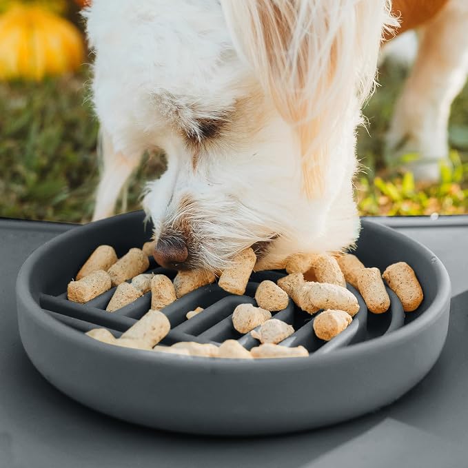 Slow Feeder Dog Bowls - Small Size Silicone Slow Eating Dog Bowl for Puppies & Dogs with Suction Cup -Dishwasher-Safe,Lick Mat Design,Reduces Gulping, for All Breeds, 6”x1.25”- Charcoal