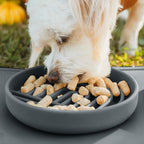 Slow Feeder Dog Bowls - Small Size Silicone Slow Eating Dog Bowl for Puppies & Dogs with Suction Cup -Dishwasher-Safe,Lick Mat Design,Reduces Gulping, for All Breeds, 6”x1.25”- Charcoal