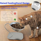 Elevated Cat Food Bowl 15° Tilt Stainless Steel,1PC | Elevated Cat Bowls, detachable stand, and stainless steel bowl. Reduces neck strain, slows eating, prevents spills