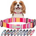 Lucky Love Dog - Adjustable Dog Collar with Easy Click Buckle for Small Dogs, Durable, & Comfortable for Male & Female Dogs, Pet Collar for Puppies & Adult Dogs - Molly, Small