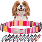 Lucky Love Dog - Adjustable Dog Collar with Easy Click Buckle for Small Dogs, Durable, & Comfortable for Male & Female Dogs, Pet Collar for Puppies & Adult Dogs - Molly, Small