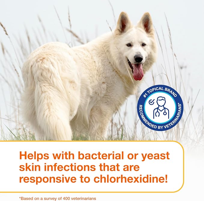 Douxo S3 PYO Chlorhexidine Shampoo For Dogs, Medicated Shampoo Antibacterial & Antiseptic, Yeast Infection Treatment for Dogs & Cats, Clinically Proven, 16.9 fl oz | Medicated Shampoo Antibacterial & Antiseptic, Yeast Infection Treatment for Dogs & Cat...
