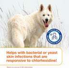 Douxo S3 PYO Chlorhexidine Shampoo For Dogs, Medicated Shampoo Antibacterial & Antiseptic, Yeast Infection Treatment for Dogs & Cats, Clinically Proven, 16.9 fl oz | Medicated Shampoo Antibacterial & Antiseptic, Yeast Infection Treatment for Dogs & Cat...