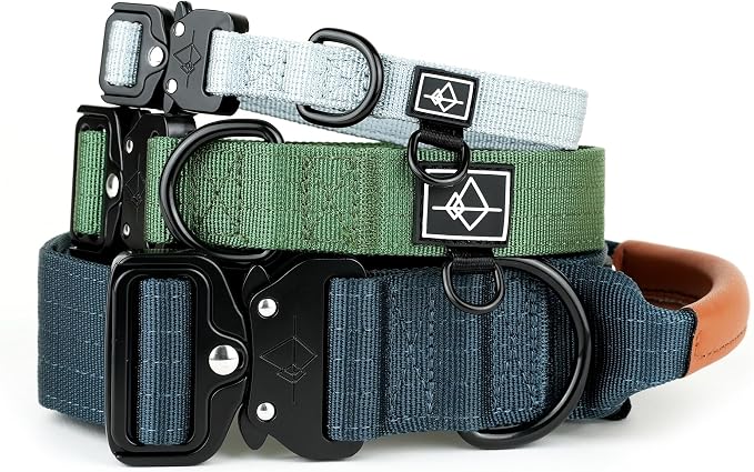 MADE TO ROAM Control Dog Collar | Leather Handle & Heavy Duty Metal Buckle | Premium adjustable collar with vegan leather handle. Fits medium to large dogs. 15 colors. Matching leash & harness