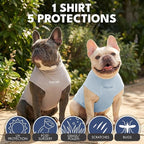 Spark Paws Sunblock Dog T-Shirt, SPF30 Protection, Lightweight Breathable Quick Dry for Dogs with Sensitive Skin - Blue & Grey (Set of 2) - 3XL