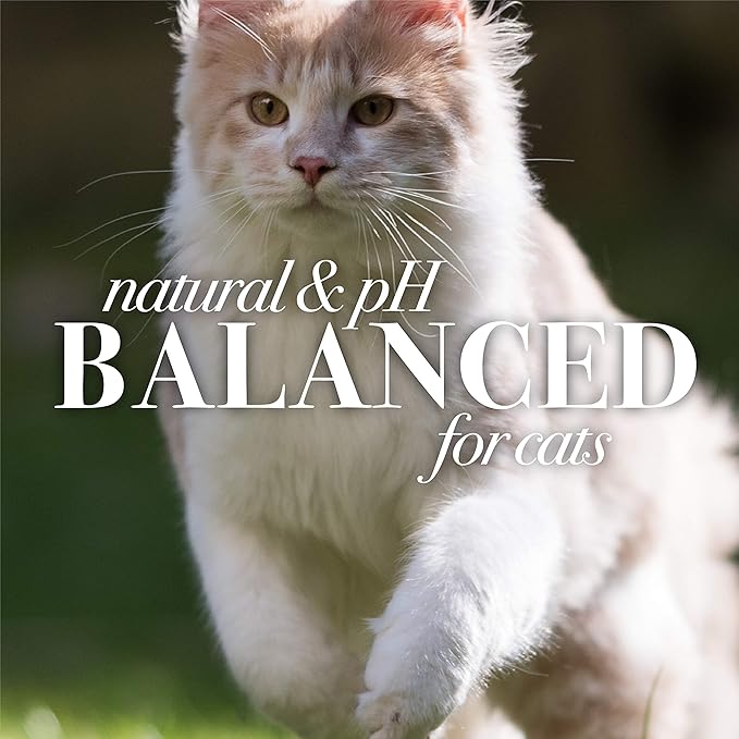 Burt's Bees for Pets For Cats Natural Dander Reducing Wipes | Kitten and Cat Wipes For Grooming, | 50 Count Cat Wipes for Dander Control - 6 Pack (300 Wipes Total)