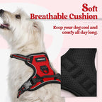 rabbitgoo Dog Harness, No Pull for Small Dogs with 2 Leash Clips, Pet Vest | No Choke, Adjustable, Breathable Padded, 2 Lead Rings, Reflective, Easy Control for Walking Training, XS, Red