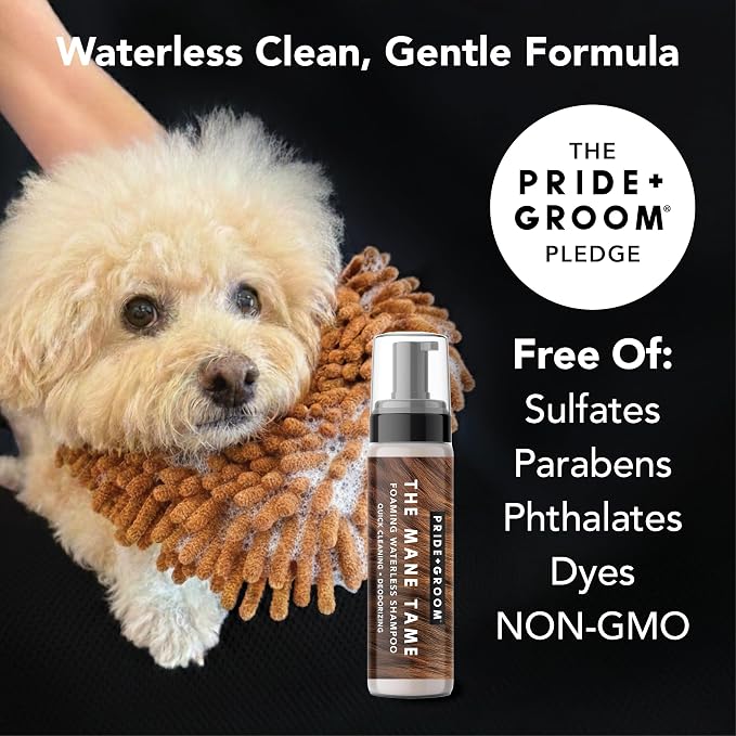 Pride and Groom THE MITT KIT: A Waterless Bath for Dogs - Foaming Dry Shampoo and a Pet Sensitive Glove for a Rinse Free Cleanse and to Eliminate Odor